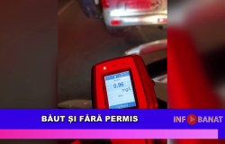 Băut și fără permis