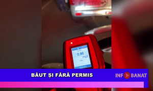 Băut și fără permis
