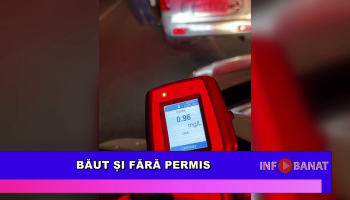 Băut și fără permis