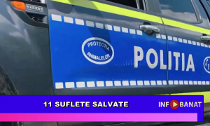 11 suflete salvate
