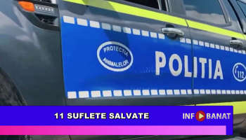 11 suflete salvate