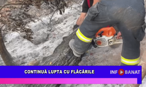 Continuă lupta cu flăcările