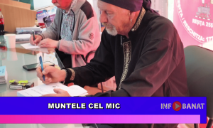 Muntele cel Mic