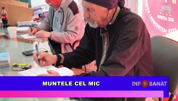 Muntele cel Mic