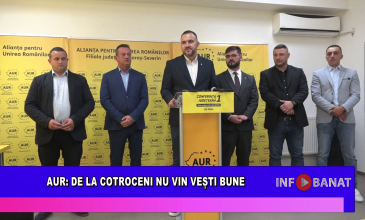 AUR : de la Cotroceni nu vin vești bune