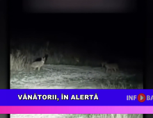 Vânătorii, în alertă