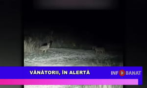 Vânătorii, în alertă