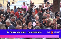În căutarea unui loc de muncă