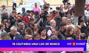 În căutarea unui loc de muncă