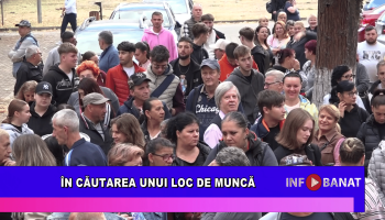 În căutarea unui loc de muncă