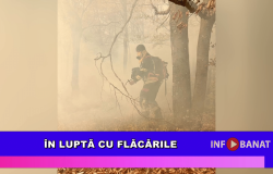În luptă cu flăcările
