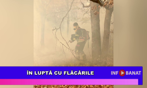 În luptă cu flăcările