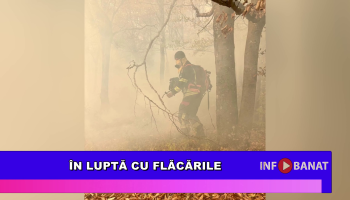 În luptă cu flăcările