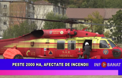 Peste 2000 ha, afectate de incendii