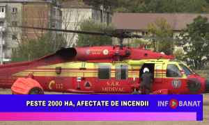 Peste 2000 ha, afectate de incendii