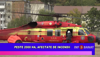 Peste 2000 ha, afectate de incendii