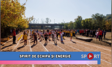 Spirit de echipă și energie