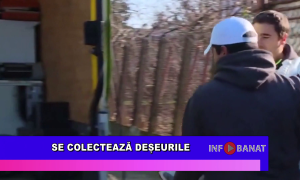 Se colectează deșeurile