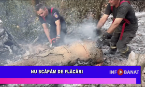 Nu scăpăm de flăcări