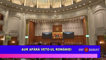AUR apără veto-ul României