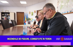 Incendiile de pădure, combătute în teren