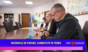 Incendiile de pădure, combătute în teren