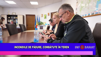 Incendiile de pădure, combătute în teren