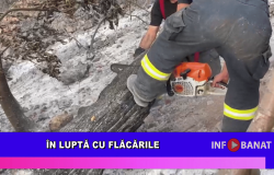În luptă cu flăcările