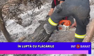 În luptă cu flăcările
