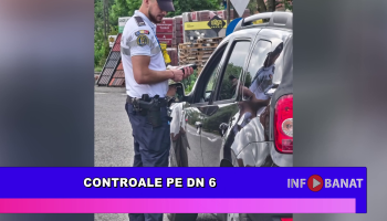 Controale pe DN 6