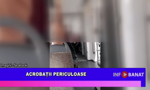 Acrobații periculoase