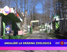Angajări la grădina zoologică