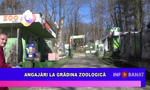 Angajări la grădina zoologică