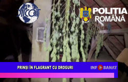 Prinși în flagrant cu droguri