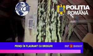 Prinși în flagrant cu droguri