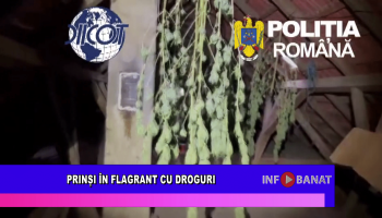 Prinși în flagrant cu droguri