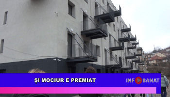 Și Mociur e premiat