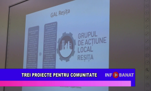 Trei proiecte pentru comunitate