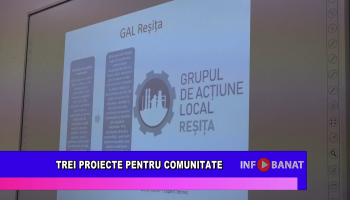 Trei proiecte pentru comunitate