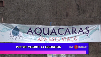 Posturi vacante la AquaCaraș