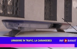 Urmărire în trafic, la Caransebeș