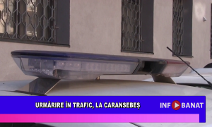 Urmărire în trafic, la Caransebeș