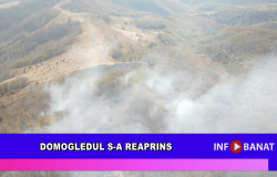 Domogledul s-a reaprins