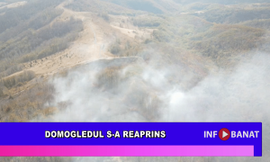 Domogledul s-a reaprins