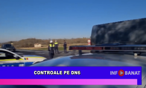 Controale pe DN 6