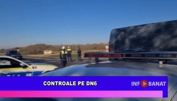 Controale pe DN 6