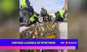 Continuă lucrările de întreținere