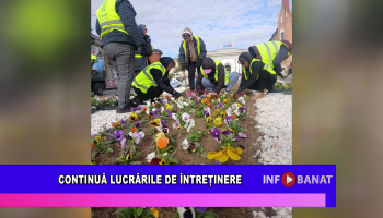 Continuă lucrările de întreținere