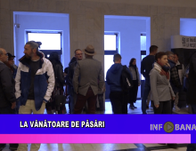 La vânătoare de păsări