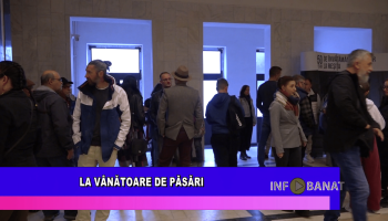 La vânătoare de păsări